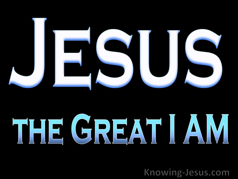 Jesus the Great I AM (devotional)11-02 (black)